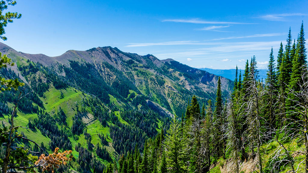 Make the Outdoors Your Business Rocky Fork helps you find scenic, income-producing businesses that offer both adventure and opportunity. bridger creek main