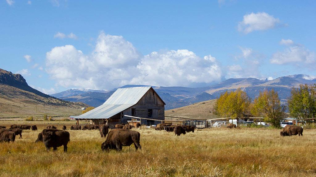 Make the Outdoors Your Business Rocky Fork helps you find scenic, income-producing businesses that offer both adventure and opportunity. clearwater main