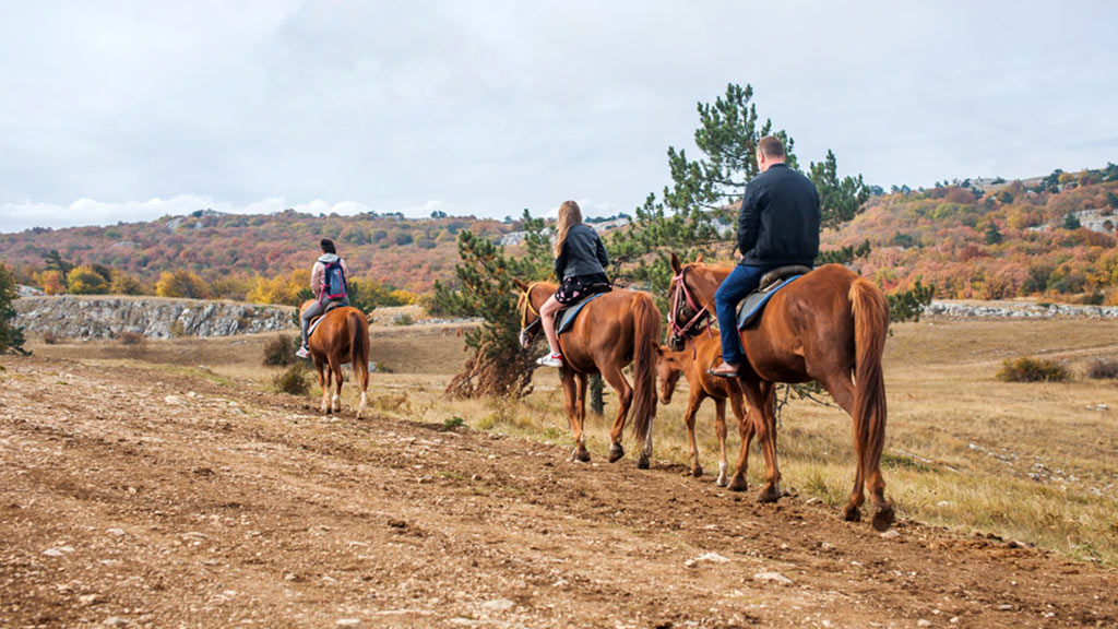 Make the Outdoors Your Business Rocky Fork helps you find scenic, income-producing businesses that offer both adventure and opportunity. timberline ranch main