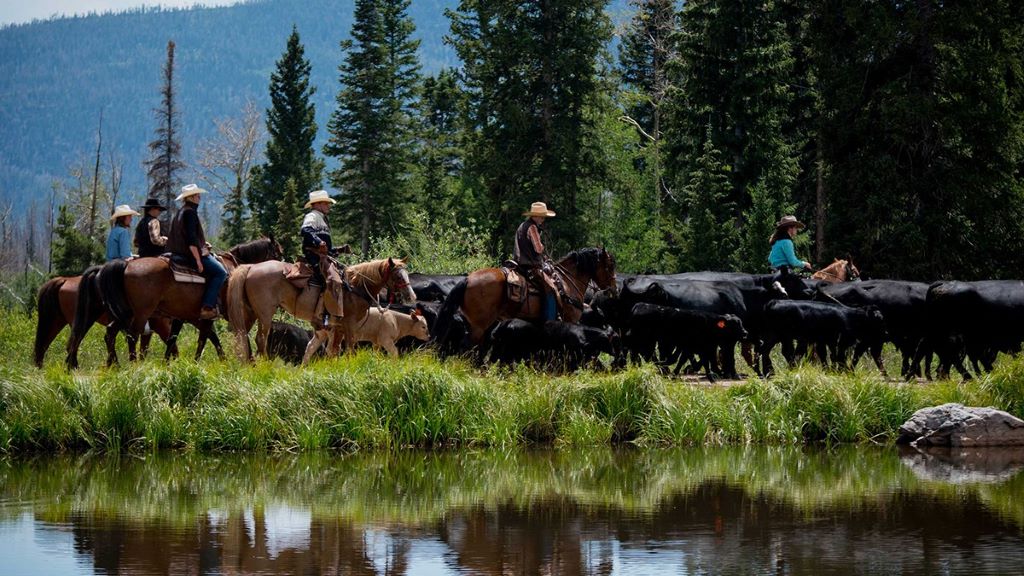 Make the Outdoors Your Business Rocky Fork helps you find scenic, income-producing businesses that offer both adventure and opportunity. Latigo Main