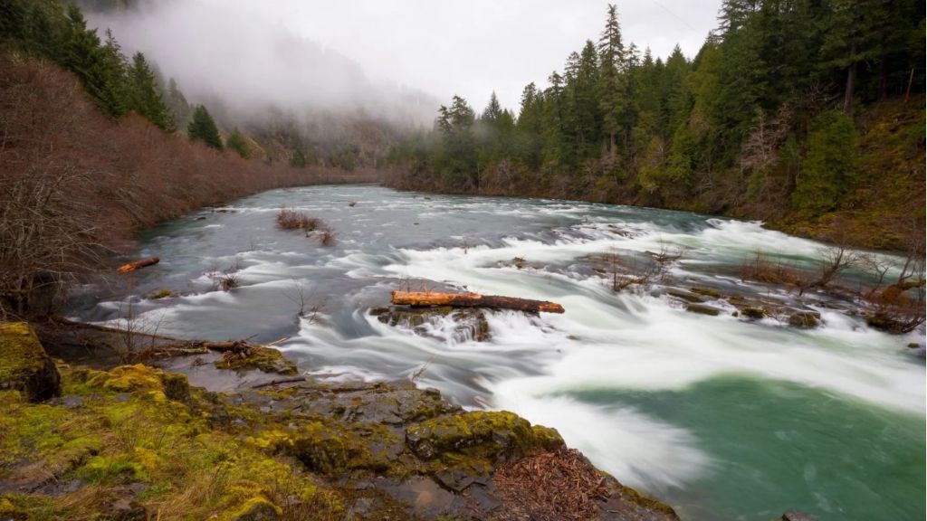 Make the Outdoors Your Business Rocky Fork helps you find scenic, income-producing businesses that offer both adventure and opportunity. Steamboat Main